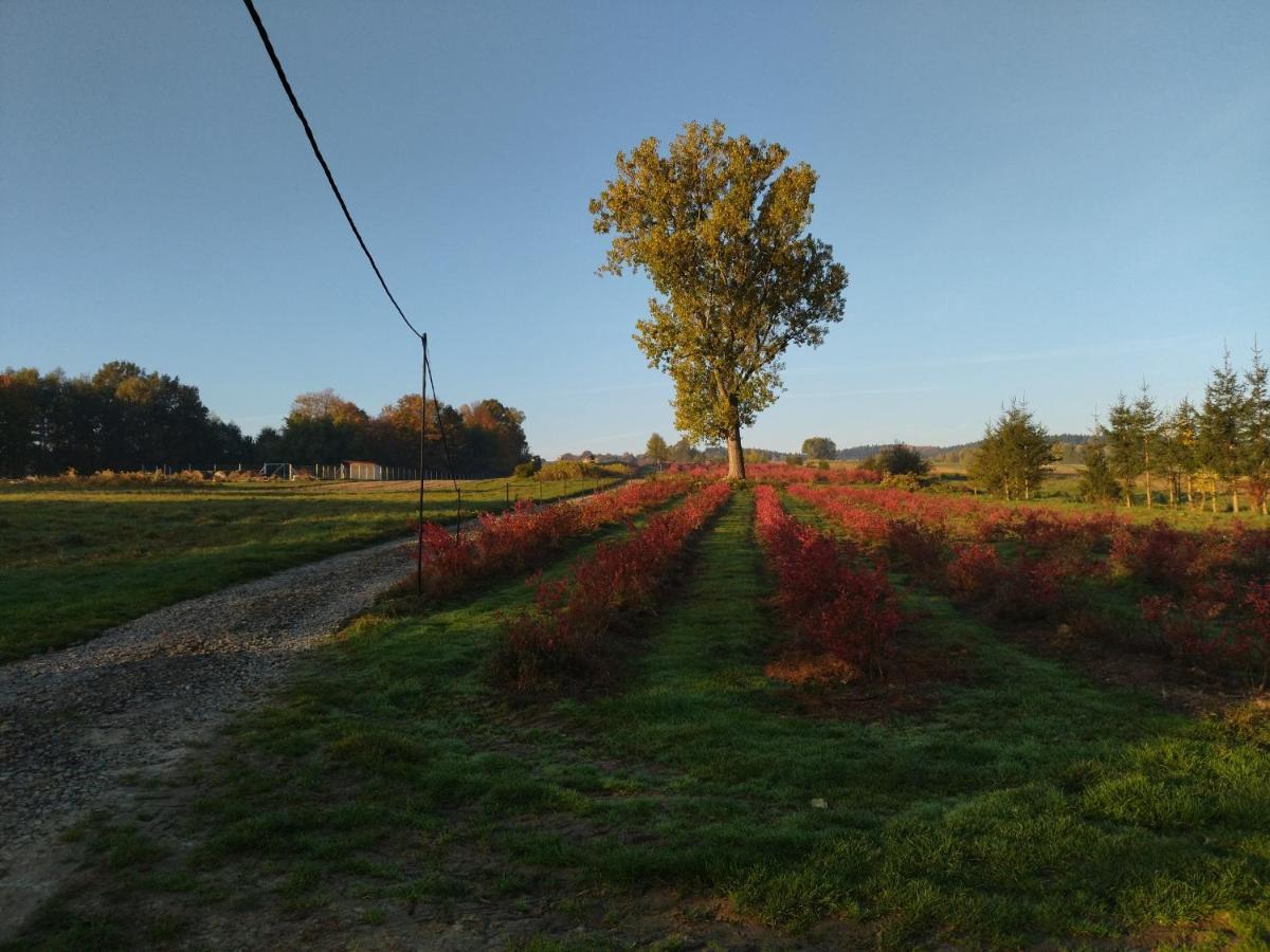 Gospodarstwo Agroturystyczne Borowkowy Bukiet Smakow Iwkowa Exterior photo