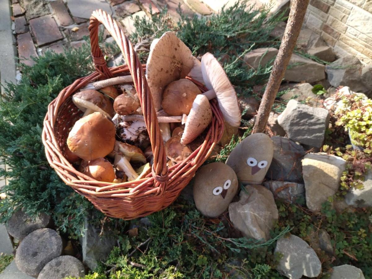Gospodarstwo Agroturystyczne Borowkowy Bukiet Smakow Iwkowa Exterior photo