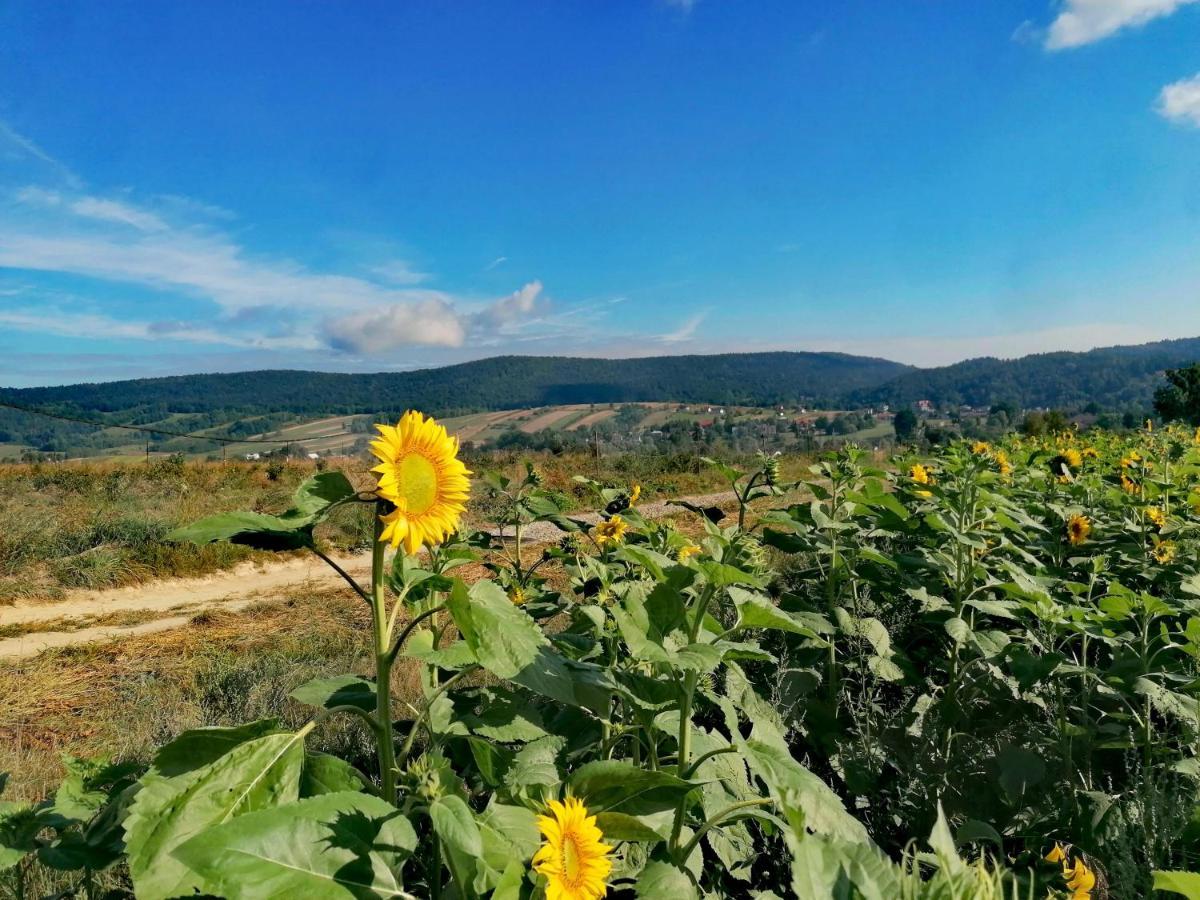 Gospodarstwo Agroturystyczne Borowkowy Bukiet Smakow Iwkowa Exterior photo