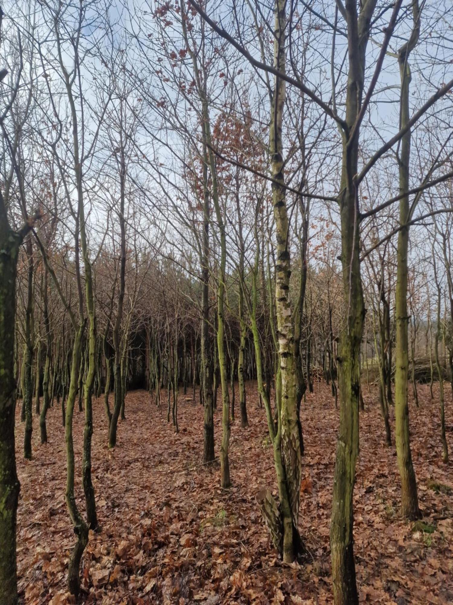 Gospodarstwo Agroturystyczne Borowkowy Bukiet Smakow Iwkowa Exterior photo