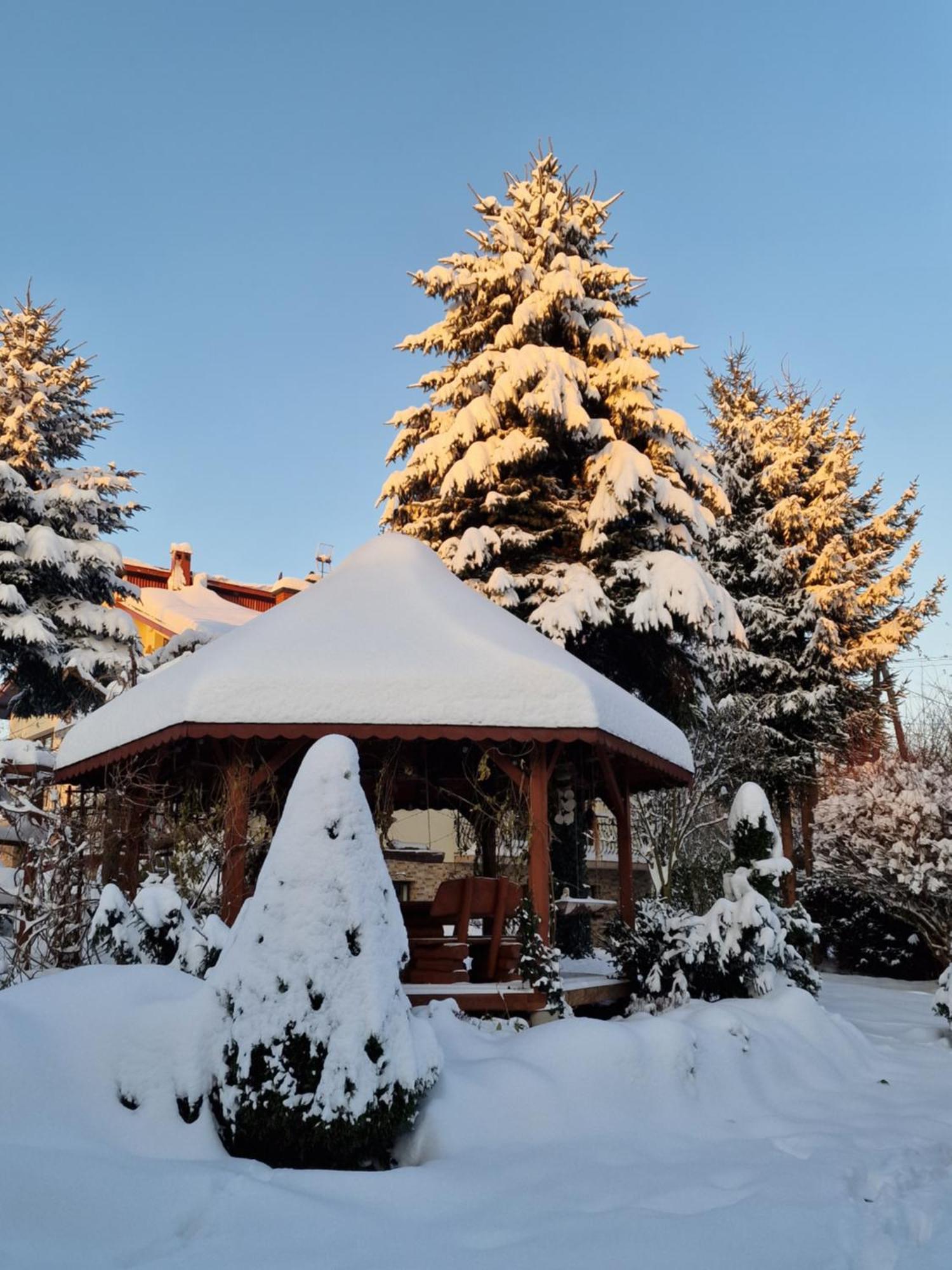 Gospodarstwo Agroturystyczne Borowkowy Bukiet Smakow Iwkowa Exterior photo