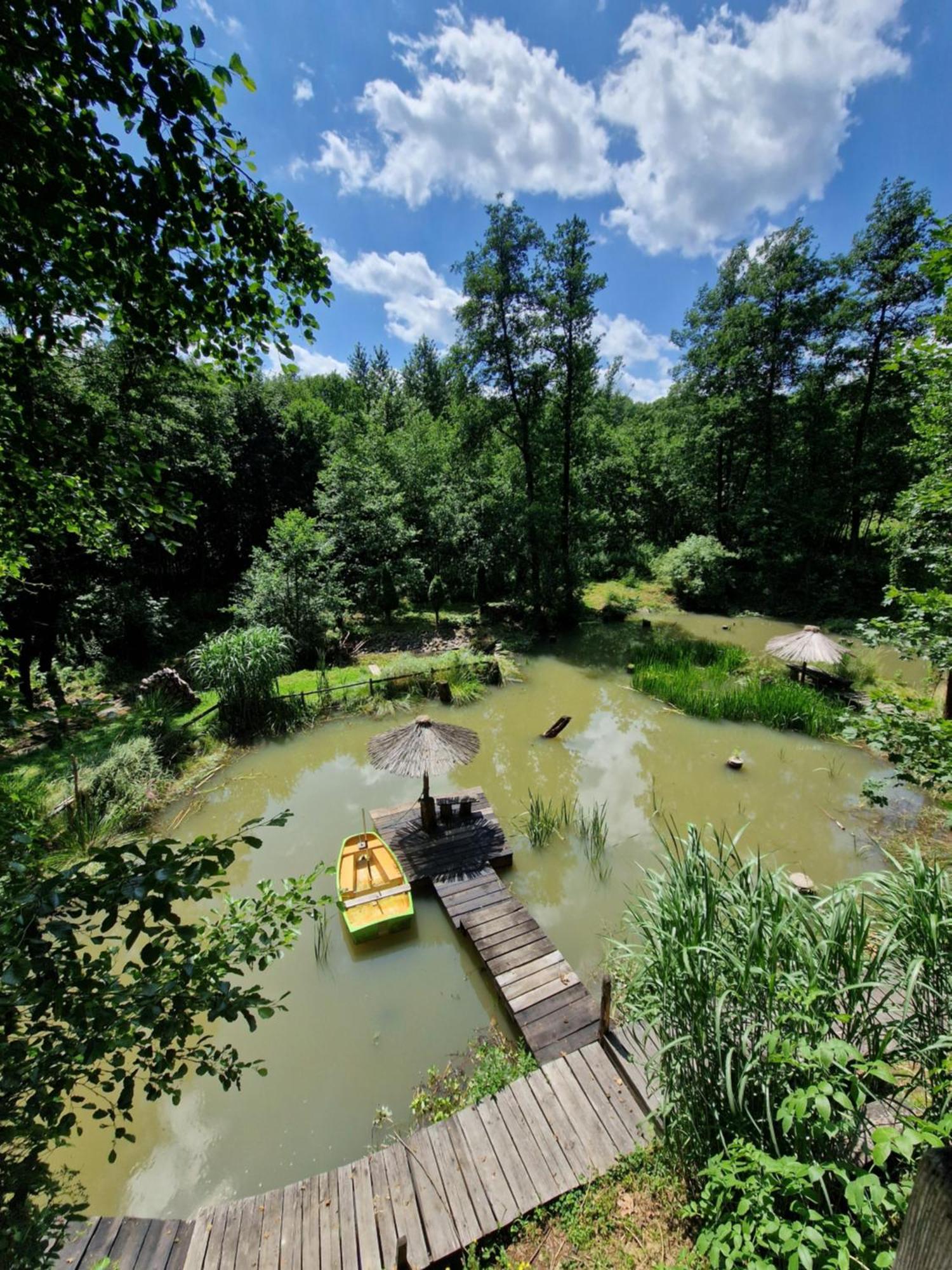 Gospodarstwo Agroturystyczne Borowkowy Bukiet Smakow Iwkowa Exterior photo