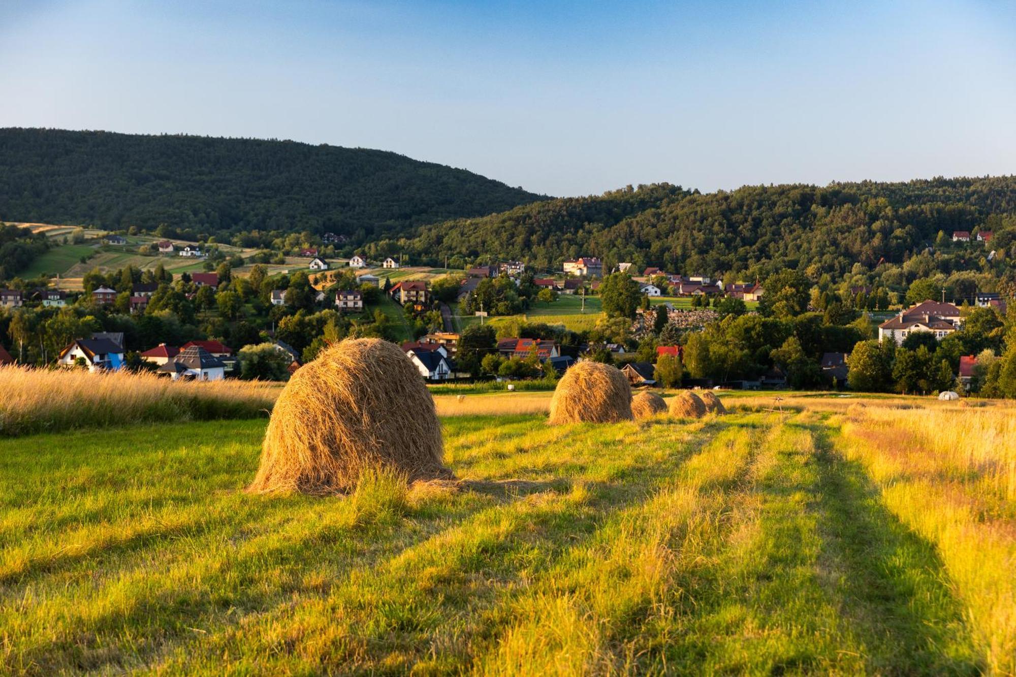 Gospodarstwo Agroturystyczne Borowkowy Bukiet Smakow Iwkowa Exterior photo